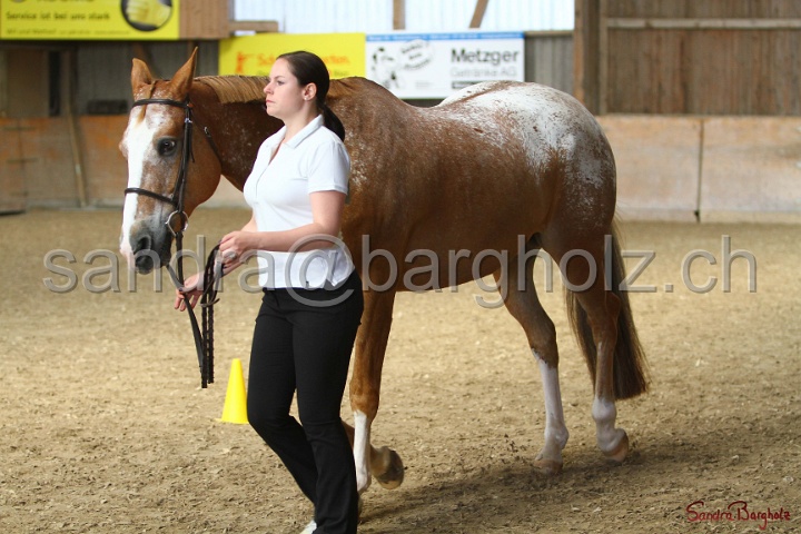 24-ApHC HIH_090.jpg